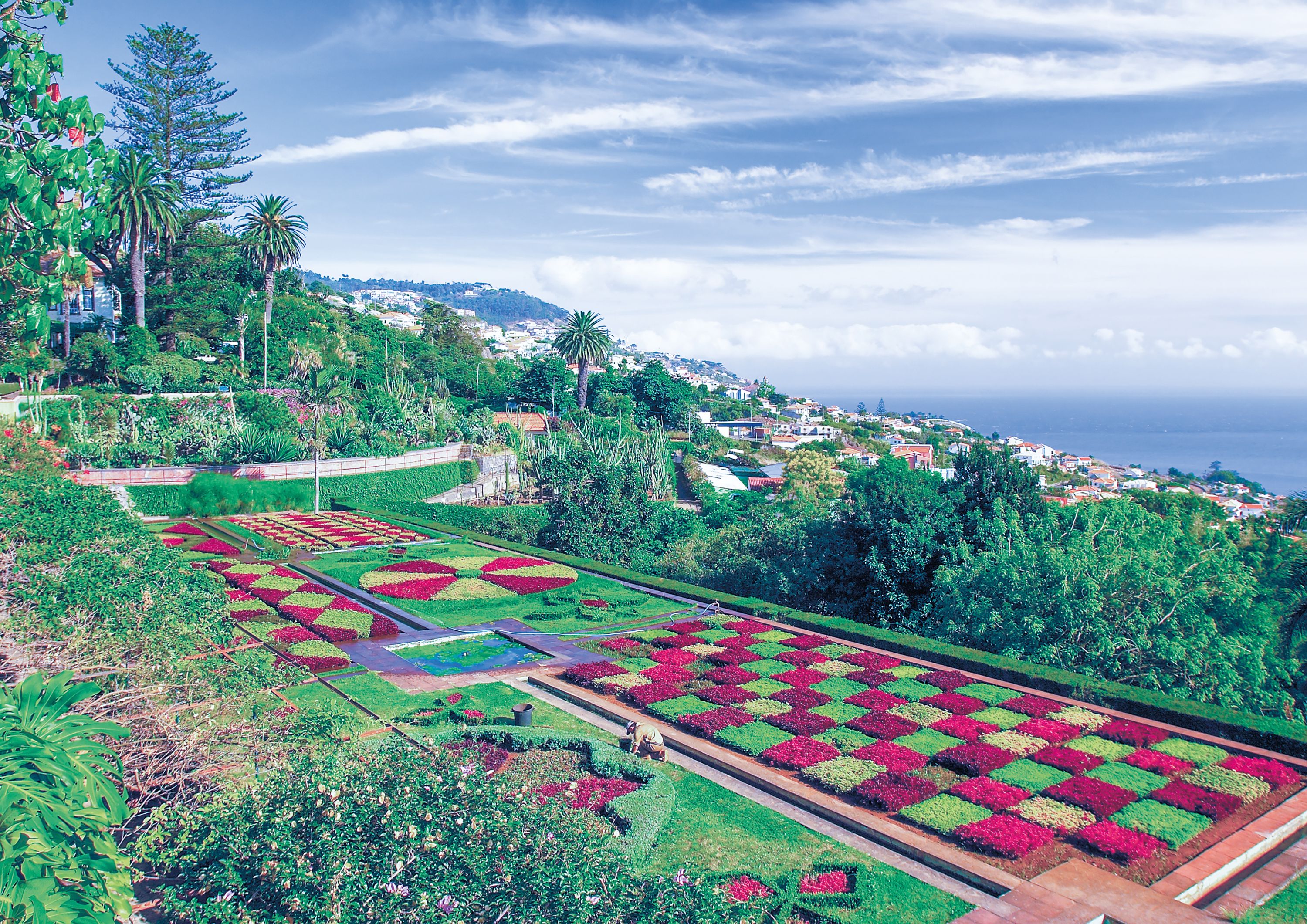 tourhub | Brightwater Holidays | The Gardens of Madeira 