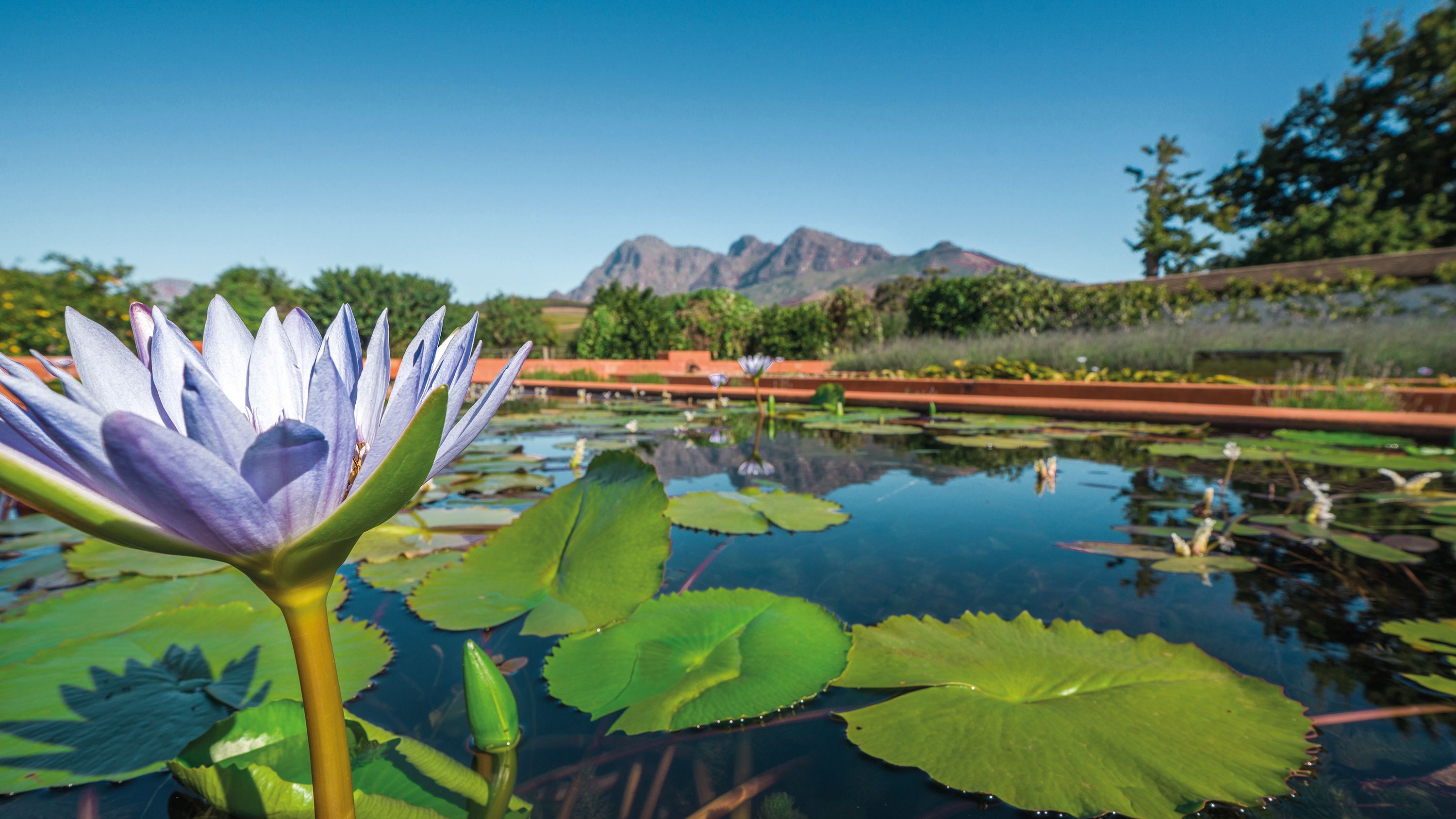 tourhub | Brightwater Holidays | South Africa’s Garden Route 
