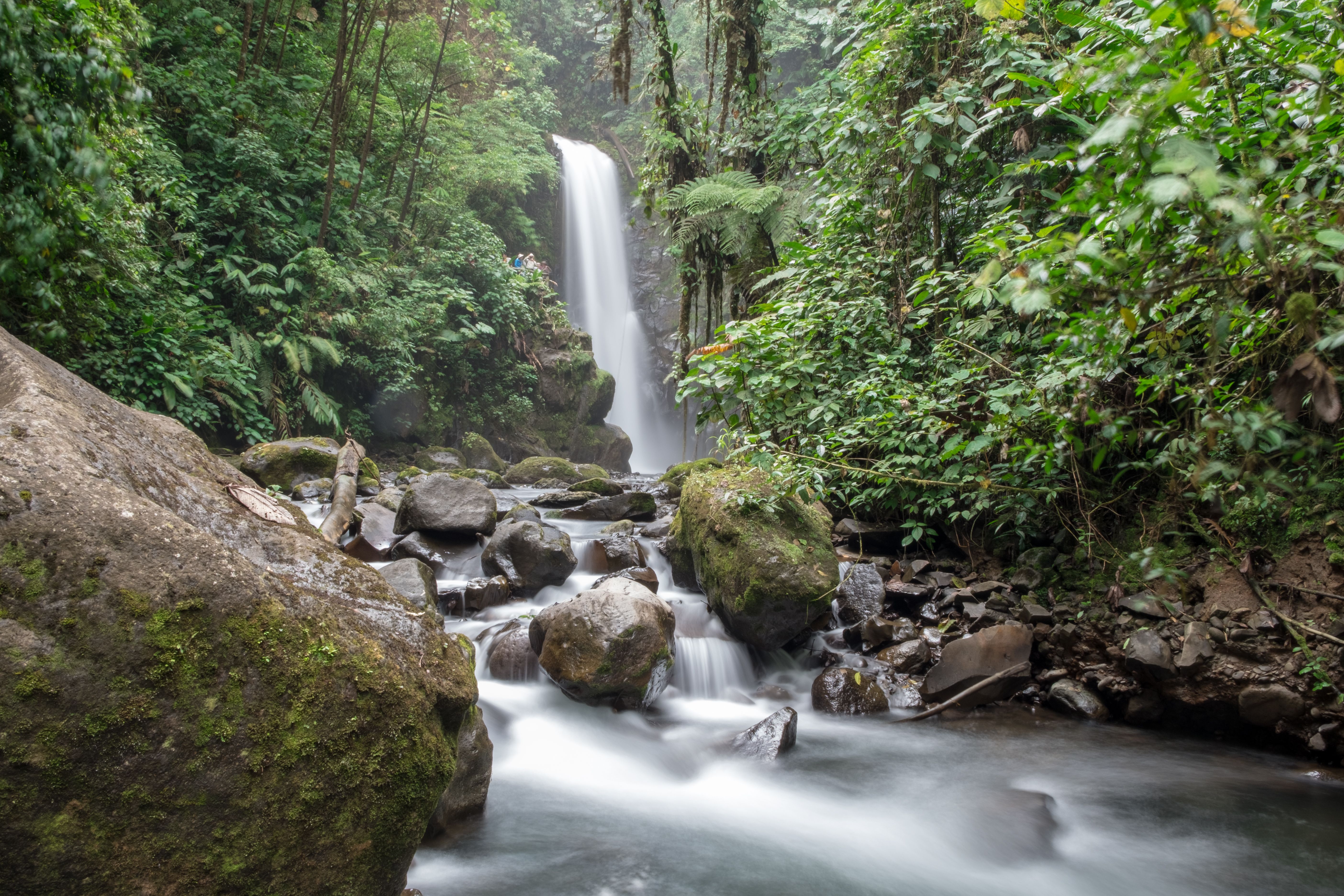 tourhub | Brightwater Holidays | Gardens of Costa Rica 687 