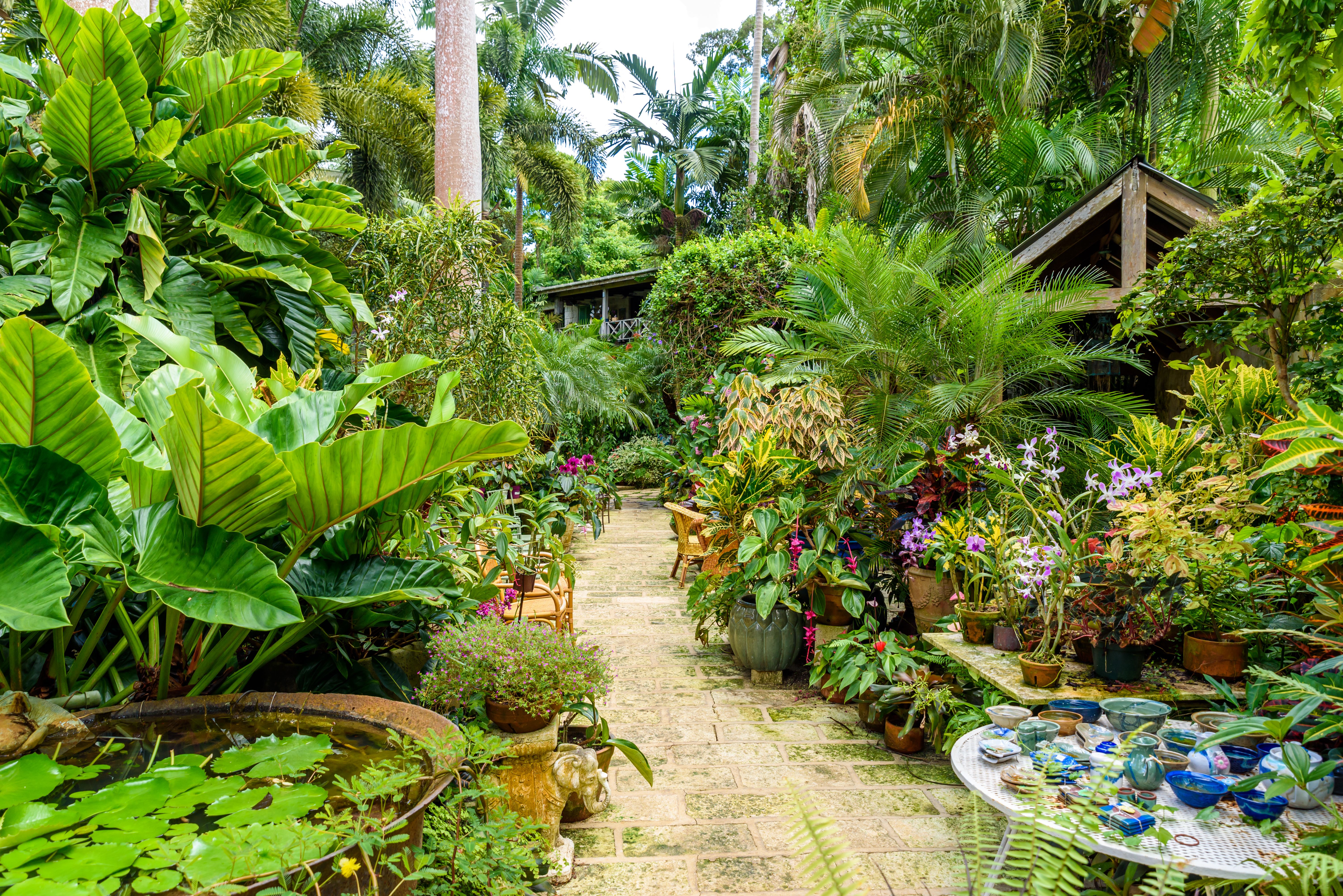 tourhub | Brightwater Holidays | Gardens of Barbados 