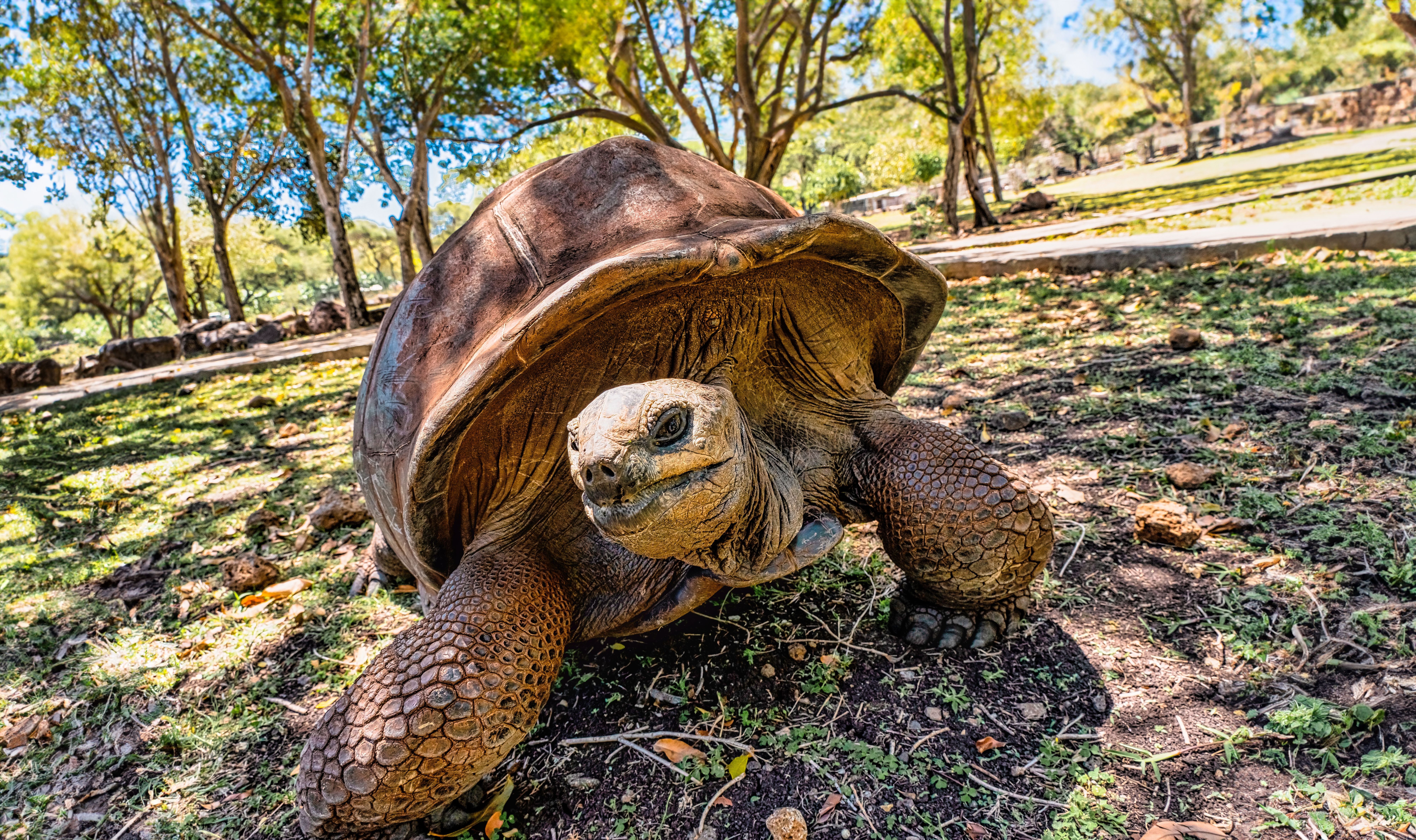 tourhub | Brightwater Holidays | Gardens of Mauritius 675 